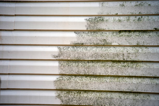 Best Construction Debris Removal  in Comstock Northwest, MI
